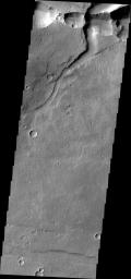 The interconnected collapse pits at the top of this image, taken by NASA's 2001 Mars Odyssey spacecraft, are part of Coprates Catena. Notice the dunes in the bottom of each pit.