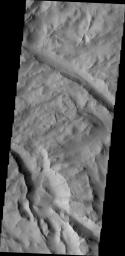 Dark slope streaks are found throughout Lycus Sulci in this image taken by NASA's 2001 Mars Odyssey spacecraft.