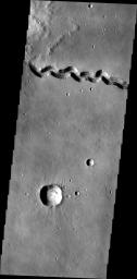This image, taken by NASA's 2001 Mars Odyssey spacecraft, shows a portion of Patapsco Vallis, a channel located on the eastern margin of Elysium Mons.