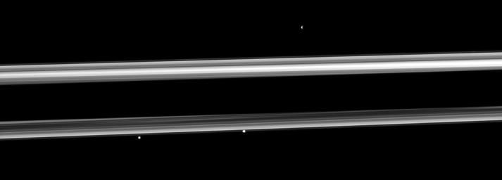 Three of Saturn's small moons straddle the rings in this image captured by NASA's Cassini spacecraft. From left to right are Pandora, Prometheus and, near the top right, Epimetheus.