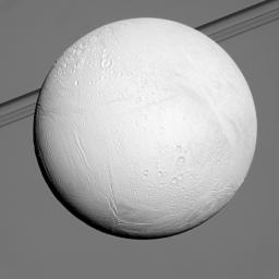 Saturn's moon Enceladus reflects sunlight brightly while the planet and its rings fill the background in this view from NASA's Cassini spacecraft. Enceladus is one of the most reflective bodies in the solar system.
