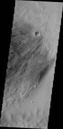 The small, dark features are sand dunes in this image by NASA's 2001 Mars Odyssey spacecraft. The majority of the dunes appear to be located within eroded deposits on the floor of Pastuer Crater.