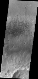 Sand dunes located on the floor of McLaughlin Crater as seen by NASA's 2001 Mars Odyssey spacecraft.