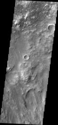 The dunes in this image taken by NASA's 2001 Mars Odyssey spacecraft are located on the floor of Herschel Crater.