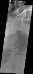 This image captured by NASA's 2001 Mars Odyssey spacecraft shows part of the dune field located on the floor of Arkhangelsky Crater.