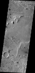 This image from NASA's 2001 Mars Odyssey shows some of the effects that wind action has on the surface of Mars. This image is located near Zephyria Planum. Winds in the region have eroded and etched the surface materials.