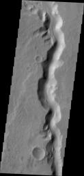 This image from NASA's 2001 Mars Odyssey shows a section of Sabis Vallis.