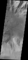 This image of Candor Chasma taken by NASA's 2001 Mars Odyssey contains eroded deposits of material and a large landslide deposit. Gravity, wind, and water all played a role in shaping the landforms we see in this image.