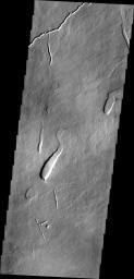 This image from NASA's 2001 Mars Odyssey shows part of the northeastern flank of Ascraeus Mons, one of the large Tharsis volcanoes. The channels were carved by lava, not by water.