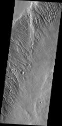 Acheron Fossae is a dissected region of rugged terrain located north of Olympus Mons. Numerous channels are visible in this image captured by NASA's 2001 Mars Odyssey.