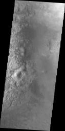 This image from NASA's 2001 Mars Odyssey highlights individual dunes located on the floor of Moreaux Crater.