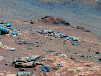 Lengthy detective work from data collected by NASA's rover Spirit confirmed that an outcrop called 'Comanche' contains a mineral indicating that a past environment was wet and non-acidic, possibly favorable to life.