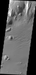This image from NASA's 2001 Mars Odyssey shows a portion of the floor of Ganges Chasma. Eroded deposits and sand dune forms are common features of Ganges Chasma.