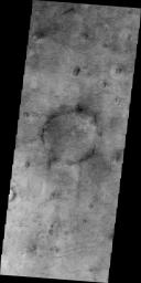 This image of Utopia Planitia, NASA's 2001 Mars Odyssey, is covered with the tracks of dust devils.