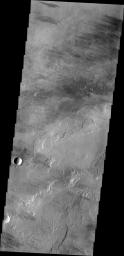 This image from NASA's Mars Odyssey shows a region of lava covered plains east of Olympus Mons. Winds are common in the area and have created windstreaks downwind of craters in the region and on the lava flows.