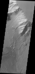 This image from NASA's Mars Odyssey shows multiple landslide deposits within Ganges Chasma.