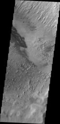 These dark dunes captured by NASA's 2001 Mars Odyssey are located on the floor of Danielson Crater in Meridiani Planum.
