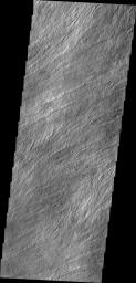 Many surface lava flows on the flanks of Olympus Mons are confined to narrow channels, like the ones in today's image from NASA's Mars Odyssey.