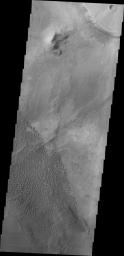The dunes in this image from NASA's Mars Odyssey are located in Nili Patera, one of the two patera of Syrtis Major Planum.