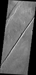 Termed both 'catena' and 'fossae,' long linear depressions created by tectonic forces are a dominate surface feature of Alba Mons in this image captured by NASA's Mars Odyssey spacecraft.