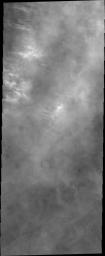 The bright features in this image captured by NASA's Mars Odyssey are the tops of clouds north of Alba Mons.