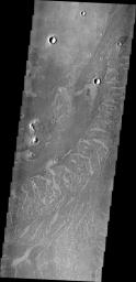These lava flows in Elysium Planitia captured by NASA's Mars Odyssey are called platy flows. The surface of the lava flow cooled and solidified, while liquid lava beneath kept flowing.