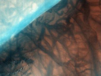 The Russell Crater dune field is covered seasonally by carbon dioxide frost; this image from NASA's Mars Reconnaissance Orbiter shows the dune field after the frost has sublimated. There are just a few patches left of the bright seasonal frost.