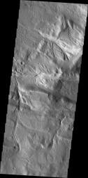 Channels dissect the complex region of Acheron Fossae, located north of Olympus Mons in this image captured by NASA's Mars Odyssey.