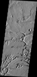 The Kasei Valles region is very complex. This image captured by NASA's Mars Odyssey illustrates that complexity with features created by fluvial action (channels) and tectonic processes (fractures).