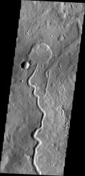 A branch of Nanedi Valles entered a crater and deposited a delta that fills the majority of the crater floor. This image was captured by NASA's Mars Odyssey.