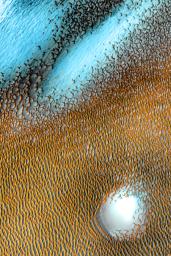 A sea of dark dunes, sculpted by the wind into long lines, surrounds the northern polar cap covering an area as big as Texas in this false-color image from NASA's Mars Odyssey, the longest-working Mars spacecraft in history.