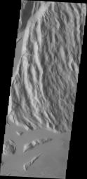 Located to the northeast of Olympus Mons, Cyane Sulci is a complexly fractured region of material inundated on its margins by volcanic flows. This image was captured by NASA's Mars Odyssey on Oct. 24, 2010.