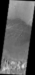 This image from NASA's Mars Odyssey shows dunes on the floor of an unnamed crater west of Herschel Crater.