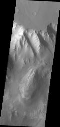 This image from NASA's Mars Odyssey shows the northern sidewall of Melas Chasma.