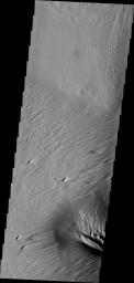 Constant sand-blasting by the winds on Mars have eroded and sculpted the surface in the equatorial region around Medusae Fossae in this image captured by NASA's Mars Odyssey.