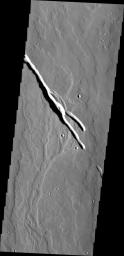 Located on the southern part of the Elysium Mons Volcanic region the channels in this image captured by NASA's Mars Odyssey were likely formed by the flow of lava.
