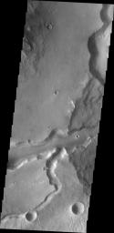 This image from NASA's Mars Odyssey shows Bahram Vallis where it enters Waspam Crater. Bahram Vallis exits the crater to the north a short distance from this location along the rim of Waspam Crater.