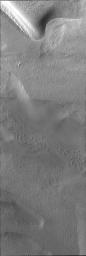 Surface textures vary in relation to topography on the south polar cap. Trough sides and floors are different from the flat top surface of the cap. This image was captured by NASA's Mars Odyssey.