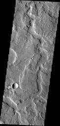 Channels are a common feature on the margin of Terra Cimmeria where the elevation changes from highland to northern lowlands in this image captured by NASA's Mars Odyssey.