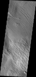 It is unclear what process has eroded the surface in this part of the Tharsis region. Wind is likely, but it could also be a record of water erosion. This image was captured by NASA's Mars Odyssey.