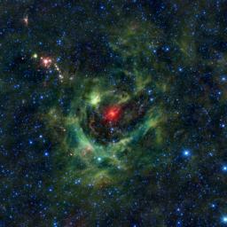 This image from NASA's Wide-field Infrared Survey Explorer, or WISE, features a region of star birth wrapped in a blanket of dust, colored green in this infrared view.