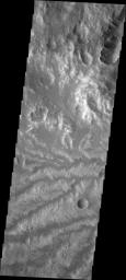 The network of channels seen in this image captured by NASA's Mars Odyssey spacecraft is called Arda Valles.