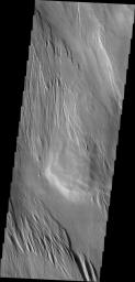 Centuries of wind action have sculpted the surface materials shown this image from NASA's 2001 Mars Odyssey.