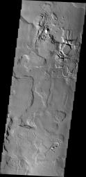 Between the Tharsis region and Lunae Planum lies Echus Chasma and the source of Kasei Vallis. Flows from the Tharsis volcanoes are buckled by tectonic forces forming mounds and fractures in the Chasma as seen in this image from NASA's 2001 Mars Odyssey.