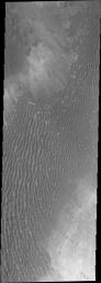 This image captured by NASA's 2001 Mars Odyssey shows unnamed channel flows northward in Margaritifer Terra.