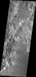 This image from NASA's 2001 Mars Odyssey shows channels dissecting the northwestern rim of Holden Crater.