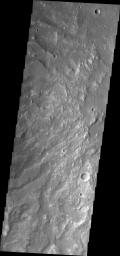 Channels dissect the hillside of Terra Sirenum in this image from NASA's 2001 Mars Odyssey spacecraft.