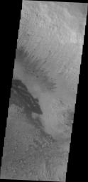 The dark material in this image NASA's 2001 Mars Odyssey spacecraft of Danielson Crater are dunes at the foot of the fill material located on the southwestern end of the crater floor.