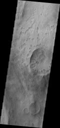 The unusual shallow, scalloped depressions in this image from NASA's 2001 Mars Odyssey spacecraft are located on the margin Peneus Patera, south of Hellas Planitia. It may be that volatiles, such as ice, are involved in the formation of these depressions.