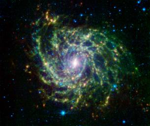 Looking like a spider's web swirled into a spiral, galaxy IC 342 presents its delicate pattern of dust in this infrared light image from NASA's Spitzer Space Telescope. The very center glows especially brightly in the infrared.